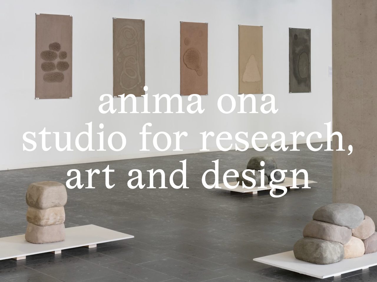 Homepage screenshot of anima ona