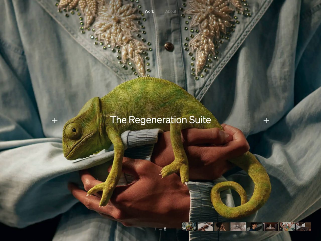 Homepage screenshot of Camille Mormal