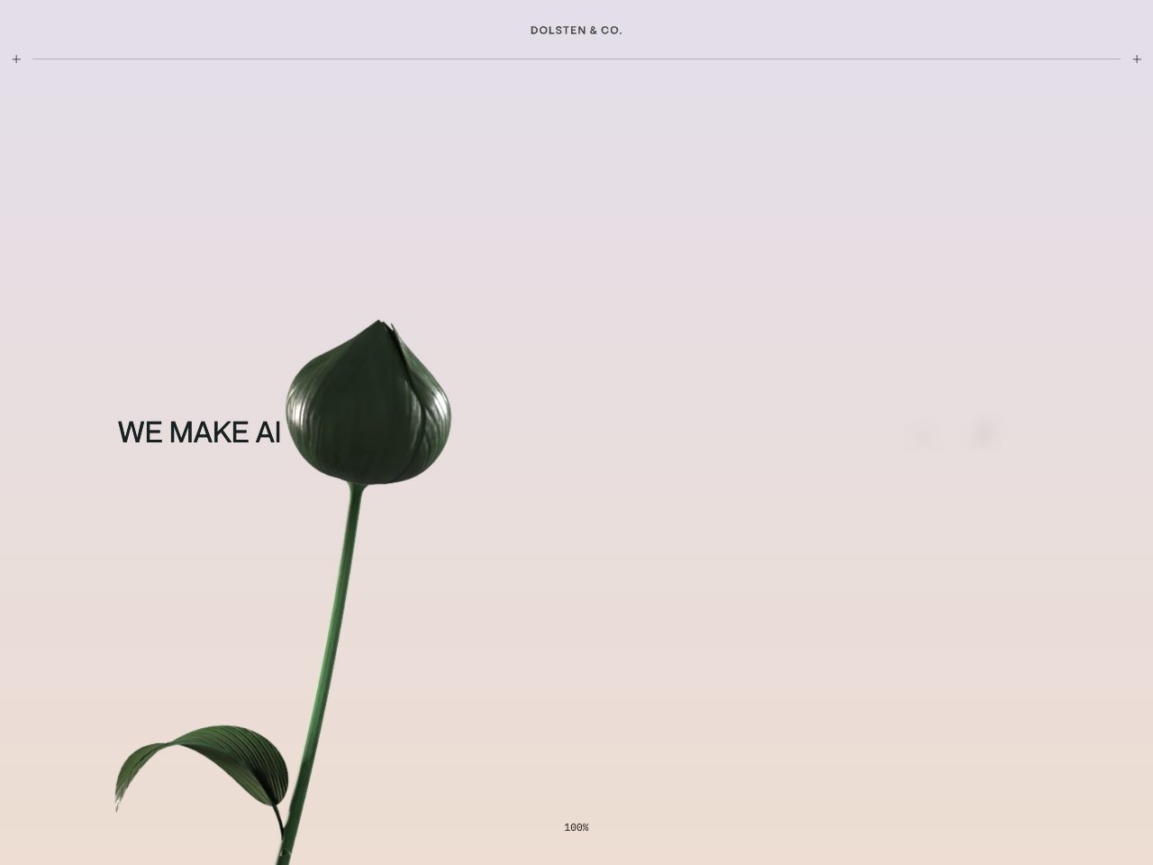 Homepage screenshot of Dolsten