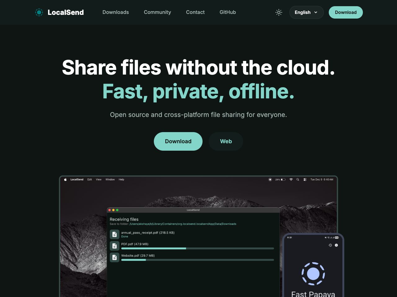 Homepage screenshot of LocalSend