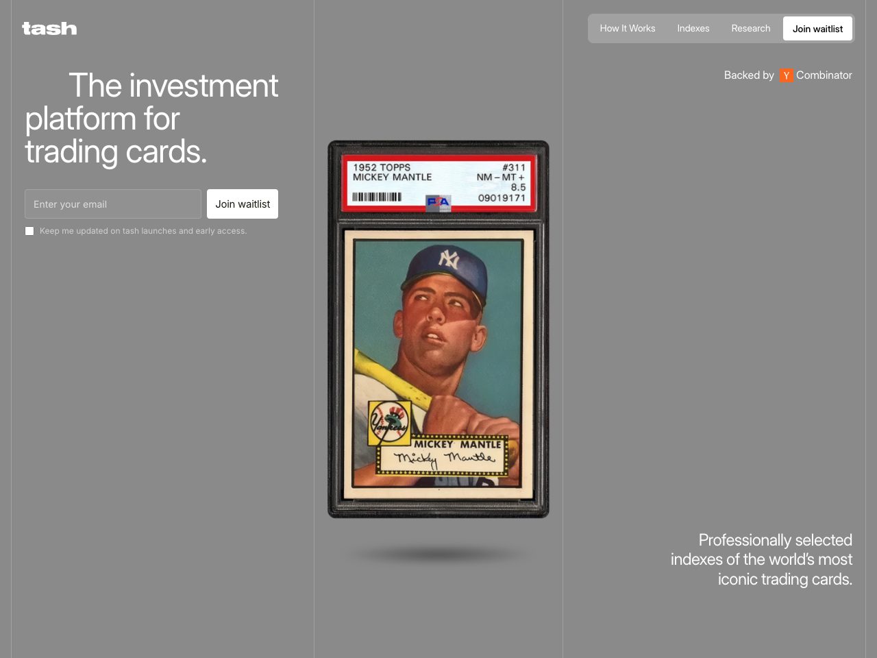 Homepage screenshot of tash